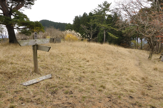 表丹沢県民の森